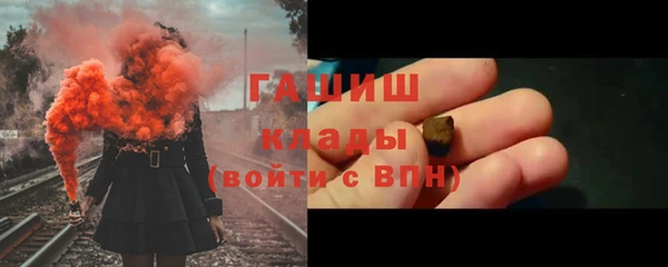 прущие грибы Вяземский