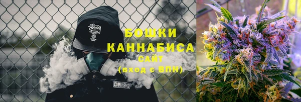 ГАЛЛЮЦИНОГЕННЫЕ ГРИБЫ Лиски