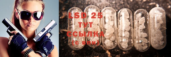 ГАЛЛЮЦИНОГЕННЫЕ ГРИБЫ Лиски